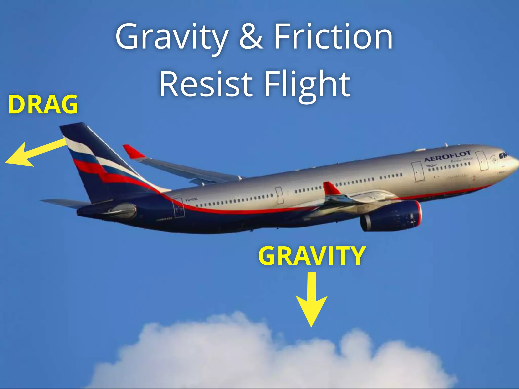 GRAVITY
DRAG
Gravity & Friction
Resist Flight
 