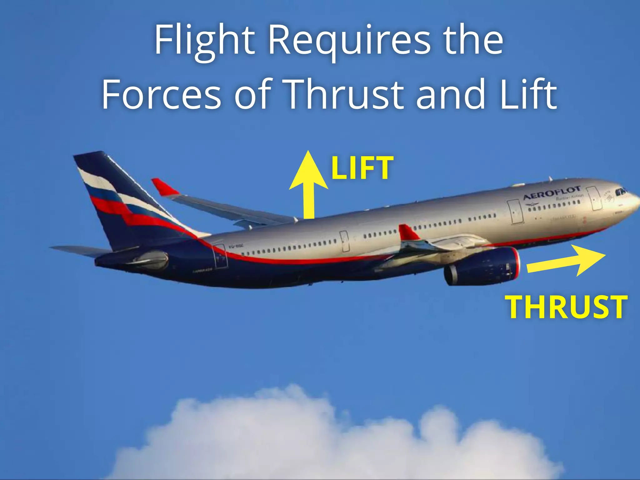 LIFT
THRUST
Flight Requires the
Forces of Thrust and Lift
 
