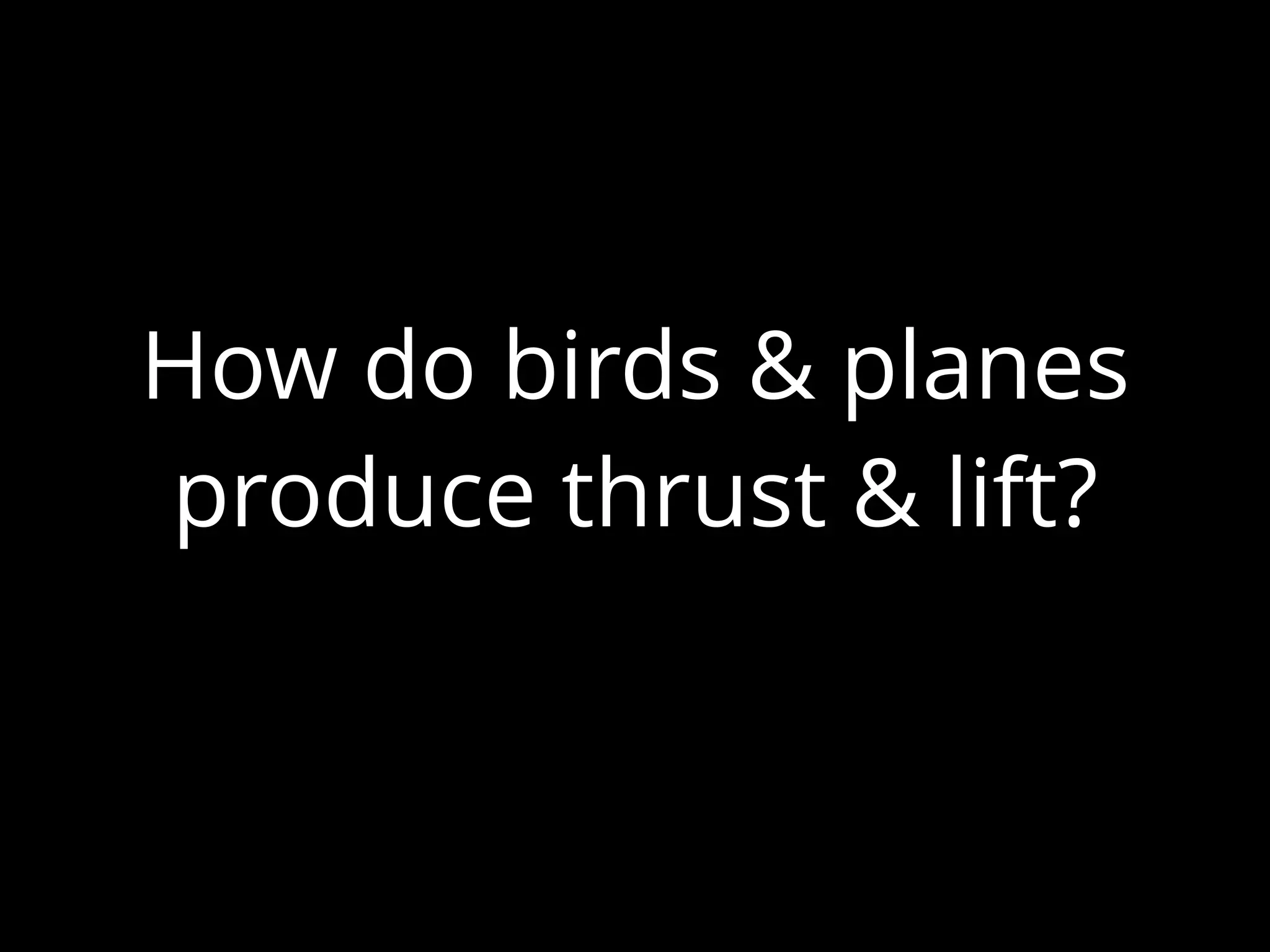 How do birds & planes
produce thrust & lift?
 