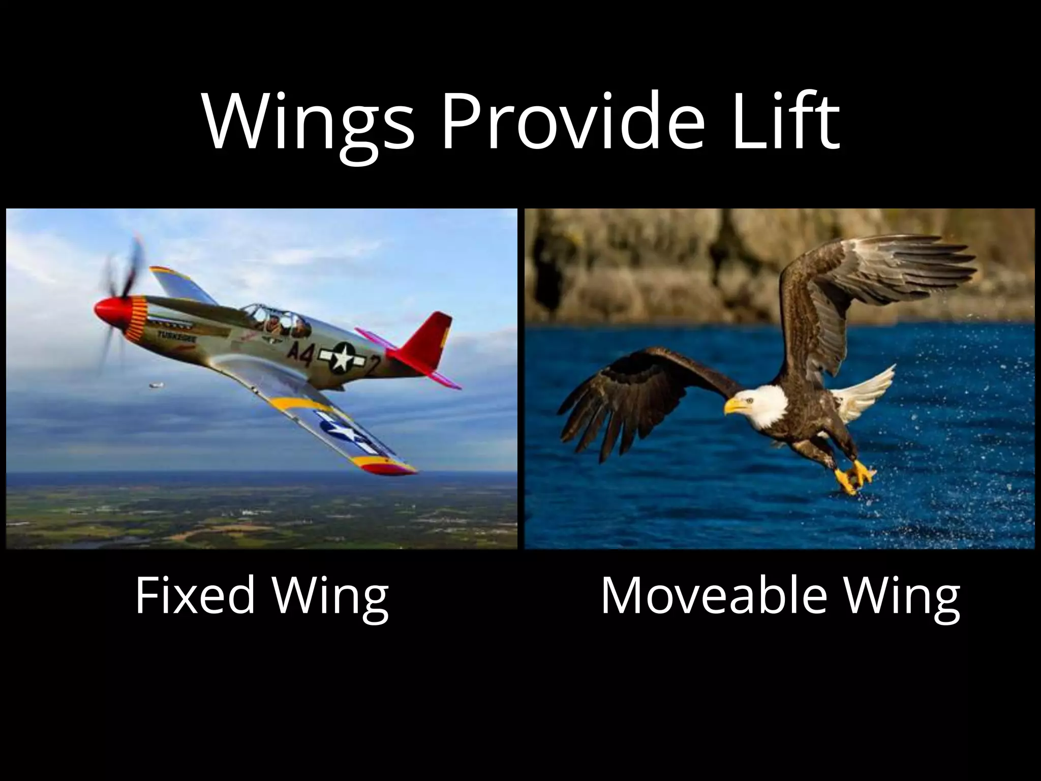 Wings Provide Lift
Fixed Wing Moveable Wing
 