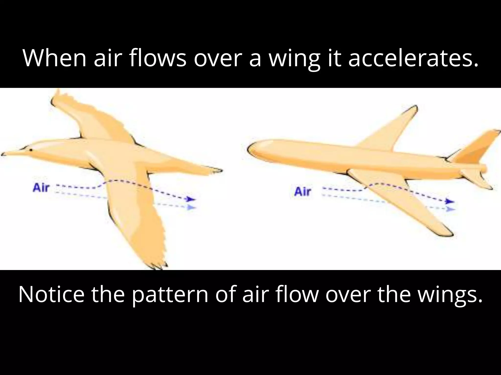 Notice the pattern of air ﬂow over the wings.
When air ﬂows over a wing it accelerates.
 