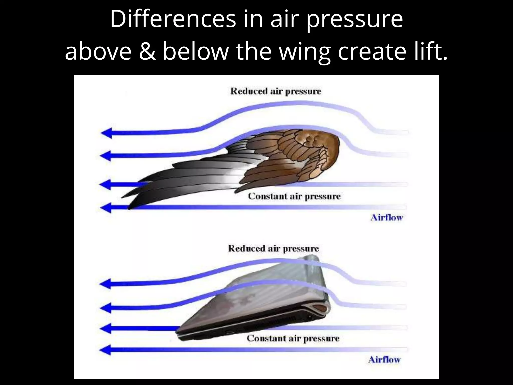 Diﬀerences in air pressure
above & below the wing create lift.
 
