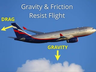 GRAVITY
DRAG
Gravity & Friction
Resist Flight
 