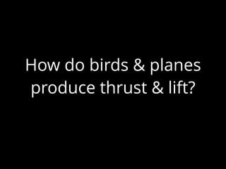 How do birds & planes
produce thrust & lift?
 