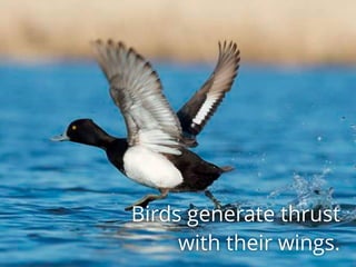 Gravity & Friction Resist Motion
Birds generate thrust
with their wings.
 