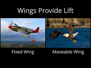 Wings Provide Lift
Fixed Wing Moveable Wing
 