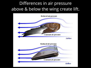 Diﬀerences in air pressure
above & below the wing create lift.
 
