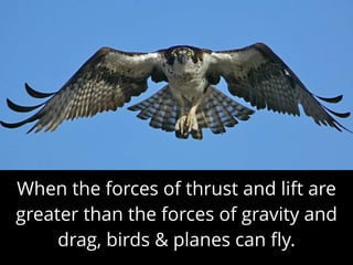 When the forces of thrust and lift are
greater than the forces of gravity and
drag, birds & planes can ﬂy.
 