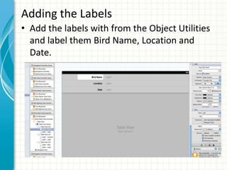 Adding the Labels
• Add the labels with from the Object Utilities
  and label them Bird Name, Location and
  Date.
 