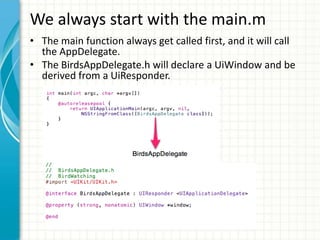 We always start with the main.m
• The main function always get called first, and it will call
  the AppDelegate.
• The BirdsAppDelegate.h will declare a UiWindow and be
  derived from a UiResponder.
 