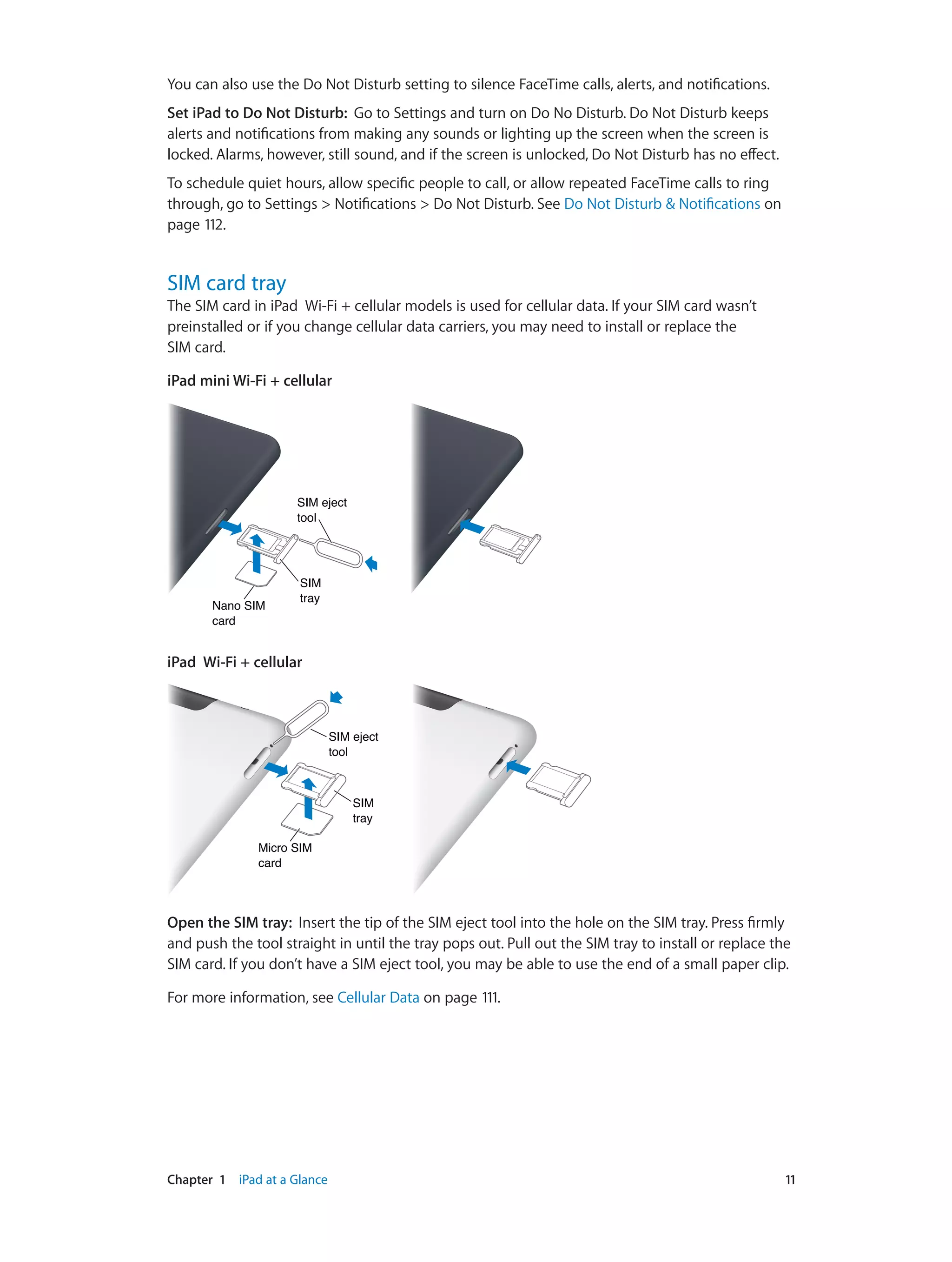 Chapter 1    iPad at a Glance	 11
You can also use the Do Not Disturb setting to silence FaceTime calls, alerts, and notifications.
Set iPad to Do Not Disturb:  Go to Settings and turn on Do No Disturb. Do Not Disturb keeps
alerts and notifications from making any sounds or lighting up the screen when the screen is
locked. Alarms, however, still sound, and if the screen is unlocked, Do Not Disturb has no effect.
To schedule quiet hours, allow specific people to call, or allow repeated FaceTime calls to ring
through, go to Settings > Notifications > Do Not Disturb. See Do Not Disturb & Notifications on
page 112.
SIM card tray
The SIM card in iPad  Wi-Fi + cellular models is used for cellular data. If your SIM card wasn’t
preinstalled or if you change cellular data carriers, you may need to install or replace the
SIM card.
iPad mini Wi-Fi + cellular
Nano SIM
card
Nano SIM
card
SIM
tray
SIM
tray
SIM eject
tool
SIM eject
tool
iPad  Wi-Fi + cellular
Micro SIM
card
Micro SIM
card
SIM
tray
SIM
tray
SIM eject
tool
SIM eject
tool
Open the SIM tray:  Insert the tip of the SIM eject tool into the hole on the SIM tray. Press firmly
and push the tool straight in until the tray pops out. Pull out the SIM tray to install or replace the
SIM card. If you don’t have a SIM eject tool, you may be able to use the end of a small paper clip.
For more information, see Cellular Data on page 111.
 