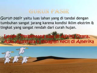 Gurun pasir yaitu luas lahan yang di tandai dengan
tumbuhan sangat jarang karena kondisi iklim ekstrim &
tingkat yang sangat rendah dari curah hujan.
Letak : Terbentang luas di Afrika Utara,
Asia, Australia & sebagian kecil di Amerika
 