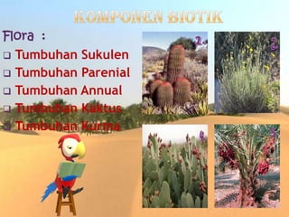 Flora :
 Tumbuhan Sukulen
 Tumbuhan Parenial
 Tumbuhan Annual
 Tumbuhan Kaktus
 Tumbuhan Kurma
 