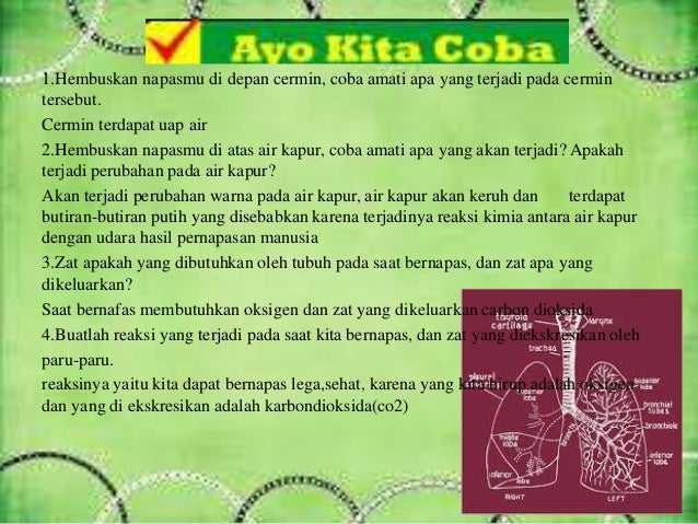 Ayo Kita Selesaikan Ipa Kelas 9 Hal 103 Ilmu Link Ayo Kita Selesaikan Ipa Kelas 9 Hal 103 Ilmu Link