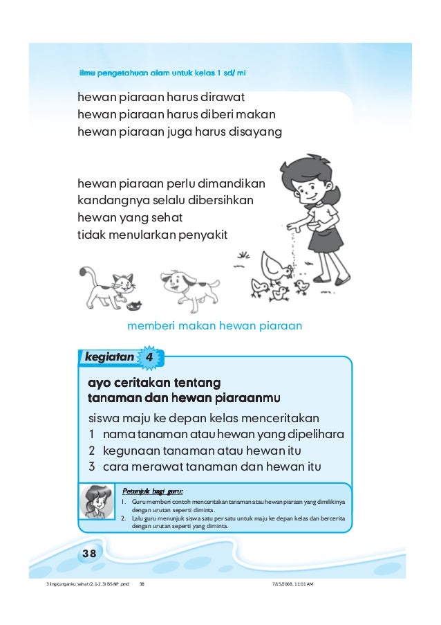 Mewarnai Ayam Dan Telur