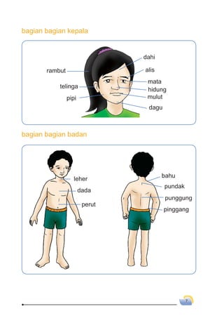 7
dada
perut
leher
mulut
dahi
dagu
alis
hidung
rambut
telinga
mata
pipi
bahu
punggung
pinggang
pundak
bagian bagian kepala
bagian bagian badan
 