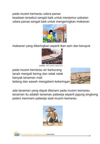 senang belajar ilmu pengetahuan alam untuk kelas I120
pada musim kemarau udara panas
keadaan tersebut sangat baik untuk menjemur pakaian
udara panas sangat baik untuk mengeringkan makanan
makanan yang dikeringkan seperti ikan asin dan kerupuk
pada musim kemarau air berkurang
tanah menjadi kering dan retak retak
banyak tanaman mati
ladang dan sawah mengalami kekeringan
ada tanaman yang dapat ditanam pada musim kemarau
tanaman itu adalah tanaman palawija seperti jagung singkong
petani meninam palawija saat musim kemarau
sumber: www. pikiran-rakyat.com
 