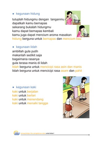 senang belajar ilmu pengetahuan alam untuk kelas I12
● kegunaan hidung
tutuplah hidungmu dengan tanganmu
dapatkah kamu bernapas
sekarang bukalah hidungmu
kamu dapat bernapas kembali
kamu juga dapat mencium aroma masakan
hidung berguna untuk bernapas dan mencium bau
● kegunaan kaki
kaki untuk berjalan
kaki untuk berlari
kaki untuk menendang
kaki untuk menaiki tangga
● kegunaan lidah
ambillah gula putih
makanlah sedikit saja
bagaimana rasanya
gula terasa manis di lidah
lidah berguna untuk mencicipi rasa asin dan manis
lidah berguna untuk mencicipi rasa asam dan pahit
 