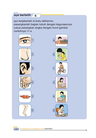 senang belajar ilmu pengetahuan alam untuk kelas I16
ayo berlatih 4
ayo kerjakanlah di buku latihanmu
pasangkanlah bagian tubuh dengan kegunaannya
cukup pasangkan angka dengan huruf gambar
contohnya 1= e
1
2
3
4
5
6
a
b
c
d
e
g
 