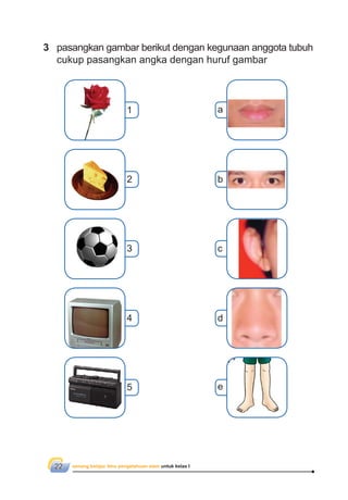 senang belajar ilmu pengetahuan alam untuk kelas I22
3 pasangkan gambar berikut dengan kegunaan anggota tubuh
cukup pasangkan angka dengan huruf gambar
1
2
3
4
a
b
c
d
5 e
 