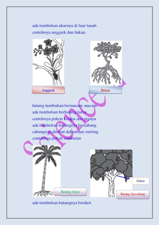 power point materi ipa kelas 2