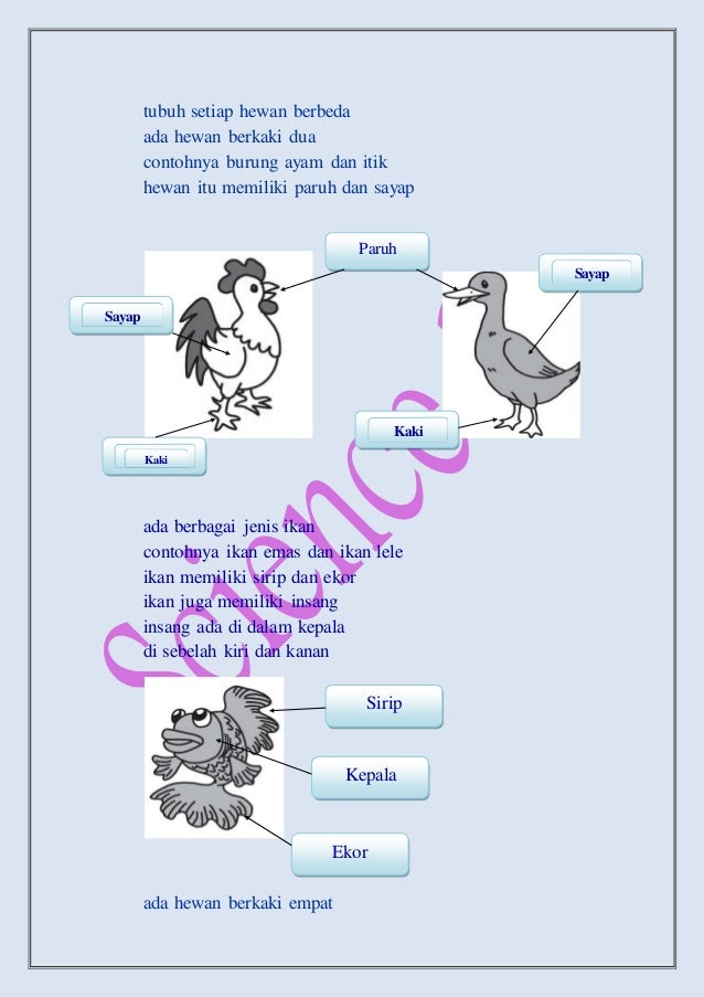 Power Point Materi Ipa Kelas 2