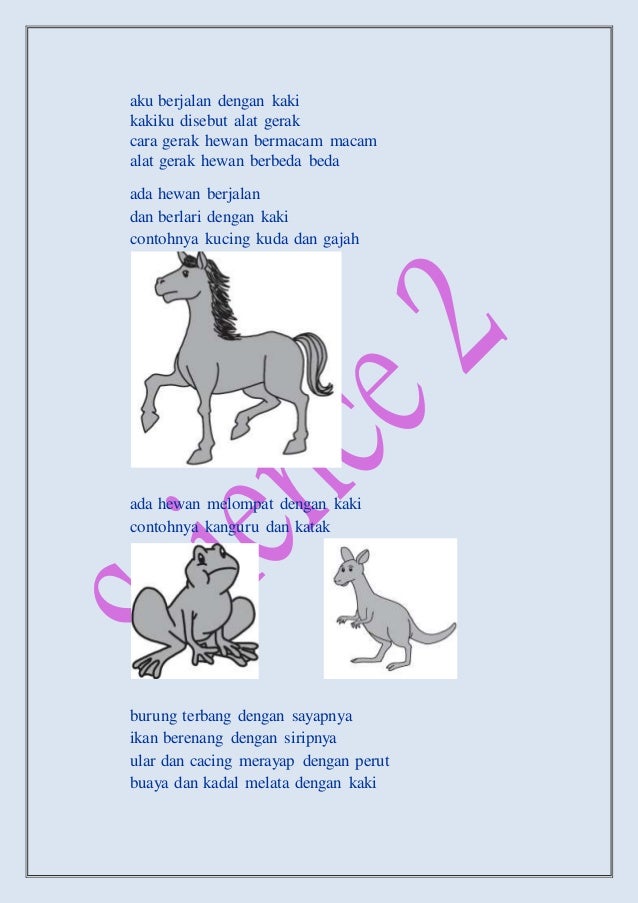 Power Point Materi Ipa Kelas 2