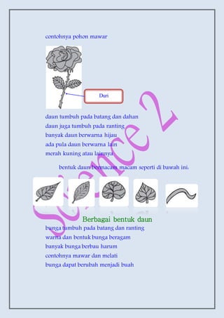 contohnya pohon mawar
daun tumbuh pada batang dan dahan
daun juga tumbuh pada ranting
banyak daun berwarna hijau
ada pula daun berwarna lain
merah kuning atau lainnya
bentuk daun bermacam macam seperti di bawah ini:
Berbagai bentuk daun
bunga tumbuh pada batang dan ranting
warna dan bentuk bunga beragam
banyak bunga berbau harum
contohnya mawar dan melati
bunga dapat berubah menjadi buah
Duri
 