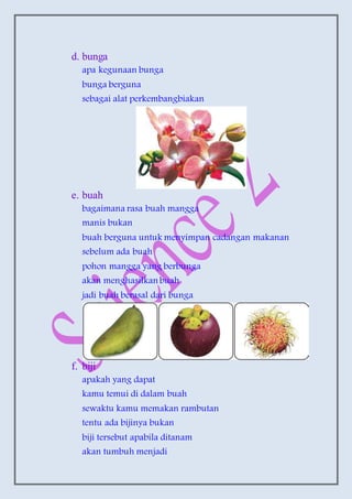 d. bunga
apa kegunaan bunga
bunga berguna
sebagai alat perkembangbiakan
e. buah
bagaimana rasa buah mangga
manis bukan
buah berguna untuk menyimpan cadangan makanan
sebelum ada buah
pohon mangga yang berbunga
akan menghasilkan buah
jadi buah berasal dari bunga
f. biji
apakah yang dapat
kamu temui di dalam buah
sewaktu kamu memakan rambutan
tentu ada bijinya bukan
biji tersebut apabila ditanam
akan tumbuh menjadi
 