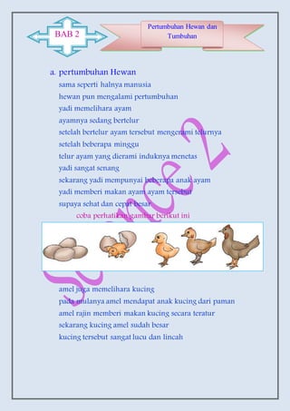 a. pertumbuhan Hewan
sama seperti halnya manusia
hewan pun mengalami pertumbuhan
yadi memelihara ayam
ayamnya sedang bertelur
setelah bertelur ayam tersebut mengerami telurnya
setelah beberapa minggu
telur ayam yang dierami induknya menetas
yadi sangat senang
sekarang yadi mempunyai beberapa anak ayam
yadi memberi makan ayam ayam tersebut
supaya sehat dan cepat besar
coba perhatikan gambar berikut ini
amel juga memelihara kucing
pada mulanya amel mendapat anak kucing dari paman
amel rajin memberi makan kucing secara teratur
sekarang kucing amel sudah besar
kucing tersebut sangat lucu dan lincah
BAB 2
Pertumbuhan Hewan dan
Tumbuhan
 