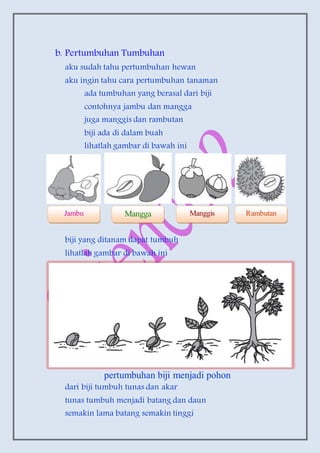 b. Pertumbuhan Tumbuhan
aku sudah tahu pertumbuhan hewan
aku ingin tahu cara pertumbuhan tanaman
ada tumbuhan yang berasal dari biji
contohnya jambu dan mangga
juga manggis dan rambutan
biji ada di dalam buah
lihatlah gambar di bawah ini
biji yang ditanam dapat tumbuh
lihatlah gambar di bawah ini
pertumbuhan biji menjadi pohon
dari biji tumbuh tunas dan akar
tunas tumbuh menjadi batang dan daun
semakin lama batang semakin tinggi
Jambu Mangga Manggis Rambutan
 