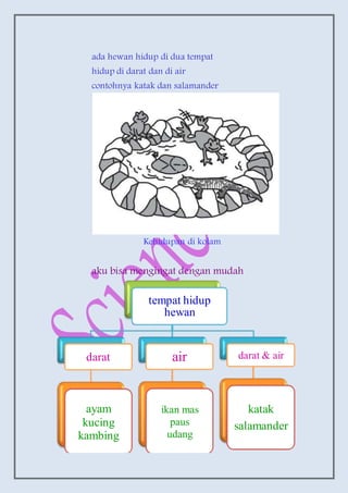 ada hewan hidup di dua tempat
hidup di darat dan di air
contohnya katak dan salamander
Kehidupan di kolam
aku bisa mengingat dengan mudah
tempat hidup
hewan
darat
ayam
kucing
kambing
air
ikan mas
paus
udang
darat & air
katak
salamander
 