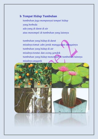b. Tempat Hidup Tumbuhan
tumbuhan juga mempunyai tempat hidup
yang berbeda
ada yang di darat di air
atau menempel di tumbuhan yang lainnya
tumbuhan yang hidup di darat
misalnya tomat cabe jeruk mangga dan sebagainya
tumbuhan yang hidup di air
misalnya teratai dan eceng gondok
tumbuhan yang hidup menempel di tumbuhan lainnya
misalnya anggrek
 