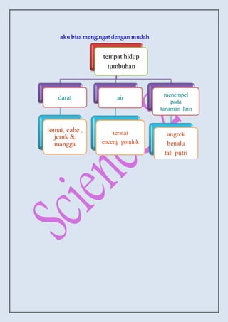 aku bisa mengingat dengan mudah
tempat hidup
tumbuhan
darat
tomat, cabe ,
jeruk &
mangga
air
teratai
enceng gondok
menempel
pada
tanaman lain
angrek
benalu
tali putri
 