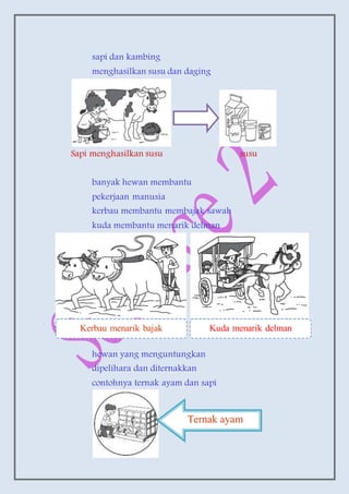 sapi dan kambing
menghasilkan susu dan daging
Sapi menghasilkan susu susu
banyak hewan membantu
pekerjaan manusia
kerbau membantu membajak sawah
kuda membantu menarik delman
hewan yang menguntungkan
dipelihara dan diternakkan
contohnya ternak ayam dan sapi
Kerbau menarik bajak Kuda menarik delman
Ternak ayam
 