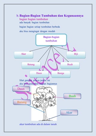 b.Bagian-Bagian Tumbuhan dan Kegunaannya
bagian bagian tumbuhan
ada banyak bagian tumbuhan
bagian bagian setiap tumbuhan berbeda
aku bisa mengingat dengan mudah
lihat gambar pohon jambu ini
aku bisa menyebut bagian bagiannya
akar tumbuhan ada di dalam tanah
Bagian-bagian
tumbuhan
Biji
Buah
BungaDaun
Batang
Akar
Buah
Akar
Batang
Daun
 