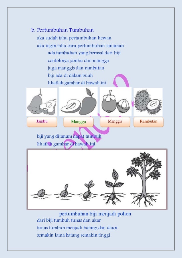 Ipa Kelas 2 48687258