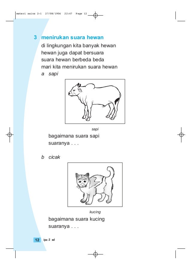 Soal Bahasa Indonesia Kelas 2 Bab Cerita Binatang - Tema Soal