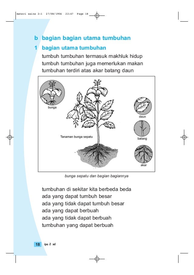 Ipa Kelas 2 Sd Wiwik Winarti