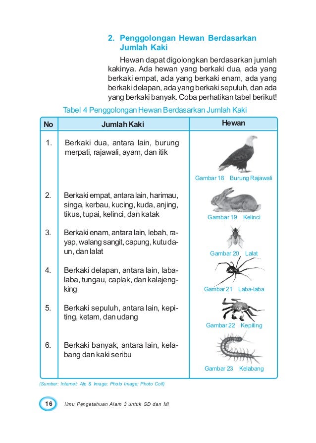 Contoh soal ipa kelas 3 sd makhluk hidup Contoh soal ipa kelas 3 sd makhluk hidup