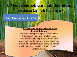 B. Mengelompokkan makhluk hidup
berdasarkan ciri-cirinya
Pengelompokkan Hewan
a. Pengelompokan Hewan Berdasarkan
Tempat Hidupnya
Berdasarkan tempat hidupnya, hewan-hewan
di kelompokkan menjadi tiga kelompok.
Ada hewan yang hidup di darat. Contohnya
ayam, sapi, dan domba. Ada hewan yang hidup
di air. Contohnya ikan, cumi-cumi, dan kerang.
Ada juga hewan yang hidup di darat dan di air.
Contohnya katak.
 