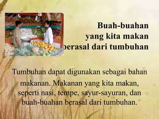 Buah-buahan
yang kita makan
berasal dari tumbuhan
Tumbuhan dapat digunakan sebagai bahan
makanan. Makanan yang kita makan,
seperti nasi, tempe, sayur-sayuran, dan
buah-buahan berasal dari tumbuhan.
 