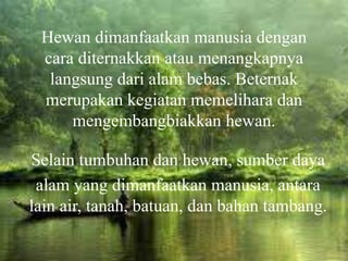 Hewan dimanfaatkan manusia dengan
cara diternakkan atau menangkapnya
langsung dari alam bebas. Beternak
merupakan kegiatan memelihara dan
mengembangbiakkan hewan.
Selain tumbuhan dan hewan, sumber daya
alam yang dimanfaatkan manusia, antara
lain air, tanah, batuan, dan bahan tambang.
 