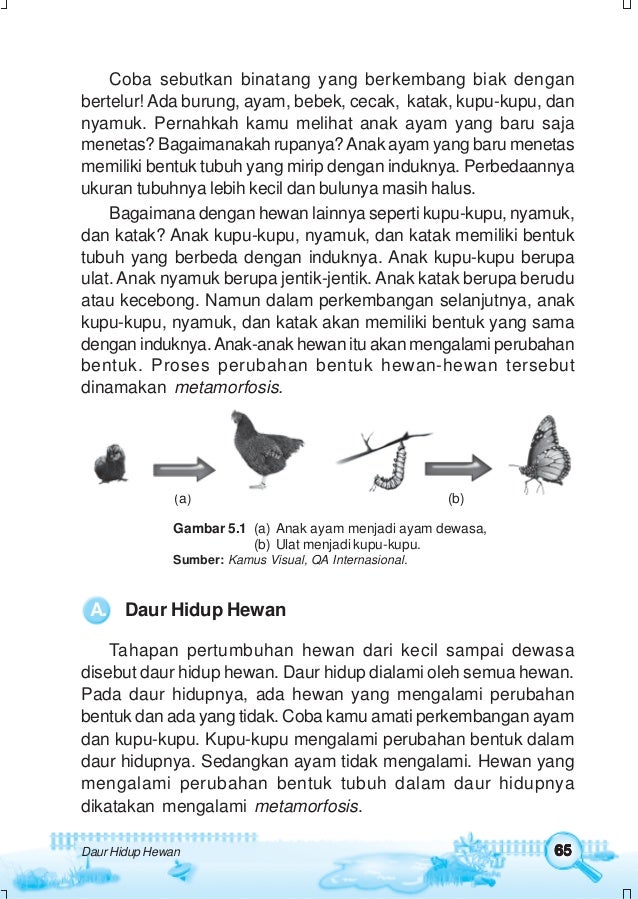 Ilmu Pengetahuan Alam Untuk Sd Mi Kelas 4 Choirul Amin Amin Pr