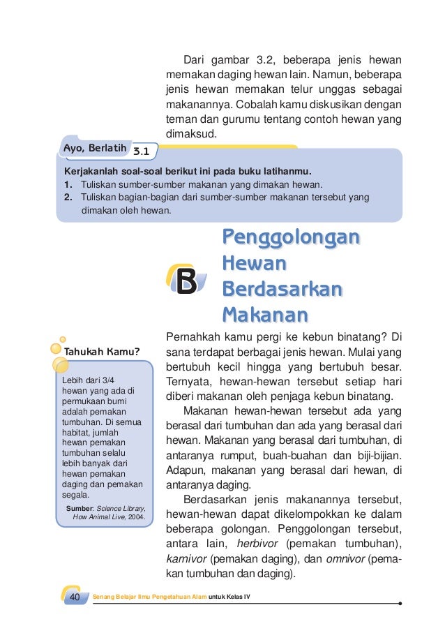 Belajar ilmu pengetahuan anak kelas 3 SD rantai makanan