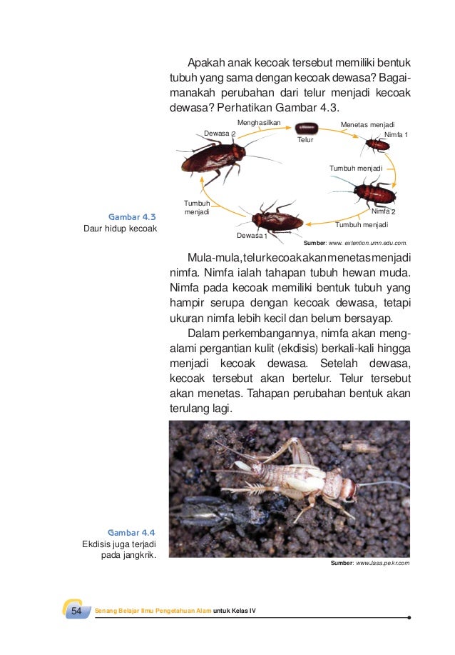 SENANG BELAJAR ILMU PENGETAHUAN ALAM UNTUK SD MI KELAS 4 