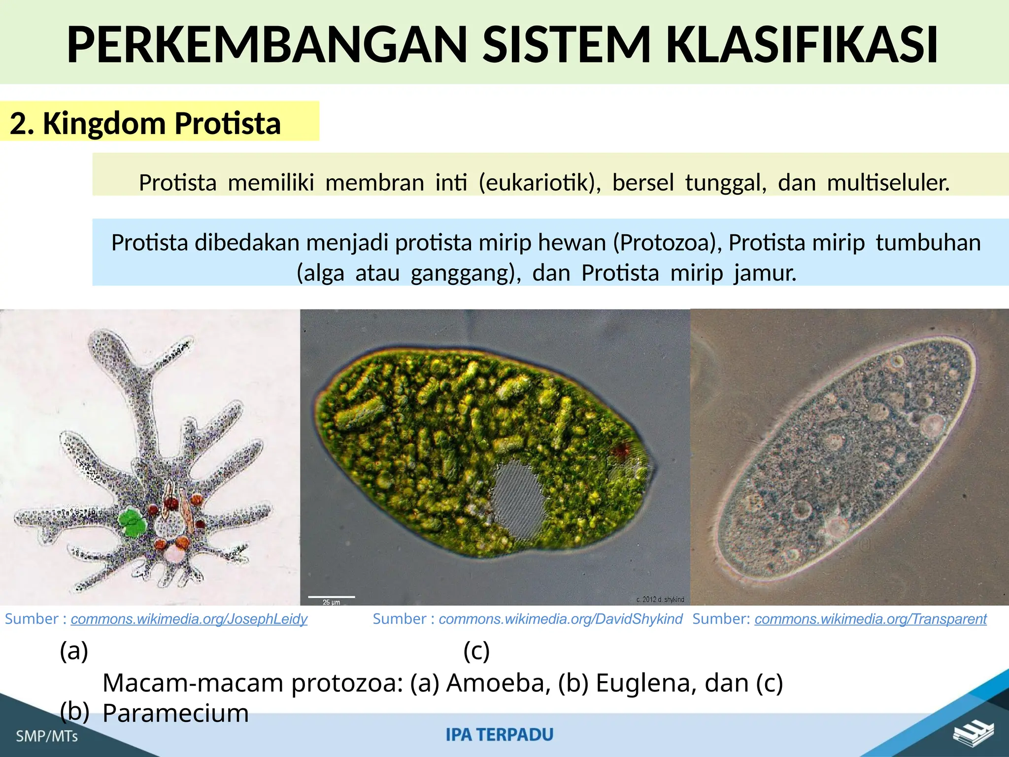 IPA Kelas 7 Bab 2 Klasifikasi Makhluk Hidup.pptx.pptx