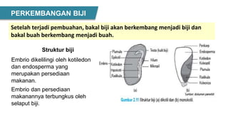 Struktur biji
Embrio dikelilingi oleh kotiledon
dan endosperma yang
merupakan persediaan
makanan.
Embrio dan persediaan
makanannya terbungkus oleh
selaput biji.
Setelah terjadi pembuahan, bakal biji akan berkembang menjadi biji dan
bakal buah berkembang menjadi buah.
PERKEMBANGAN BIJI
 