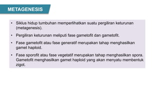 METAGENESIS
• Siklus hidup tumbuhan memperlihatkan suatu pergiliran keturunan
(metagenesis).
• Pergiliran keturunan meliputi fase gametofit dan gametofit.
• Fase gametofit atau fase generatif merupakan tahap menghasilkan
gamet haploid.
• Fase sporofit atau fase vegetatif merupakan tahap menghasilkan spora.
Gametofit menghasilkan gamet haploid yang akan menyatu membentuk
zigot.
 