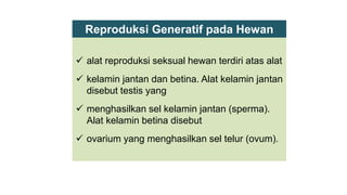  alat reproduksi seksual hewan terdiri atas alat
 kelamin jantan dan betina. Alat kelamin jantan
disebut testis yang
 menghasilkan sel kelamin jantan (sperma).
Alat kelamin betina disebut
 ovarium yang menghasilkan sel telur (ovum).
Reproduksi Generatif pada Hewan
 